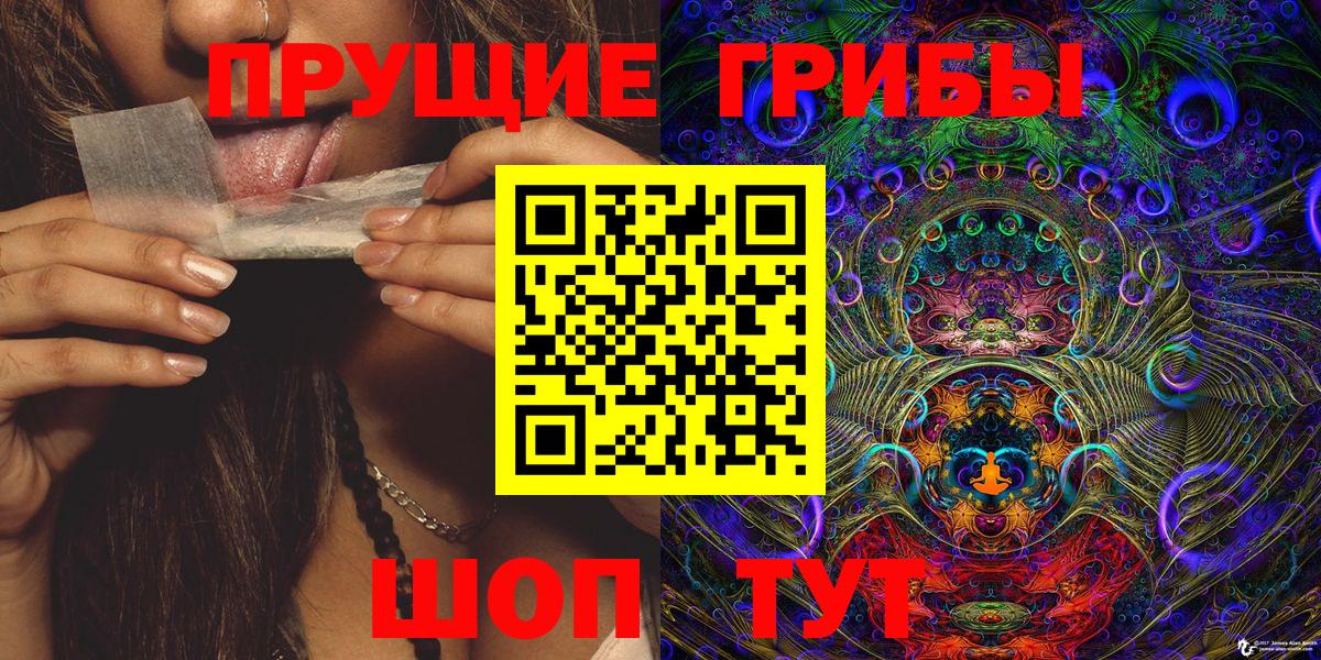 Псилоцибиновые грибы Psilocybine cubensis Реж
